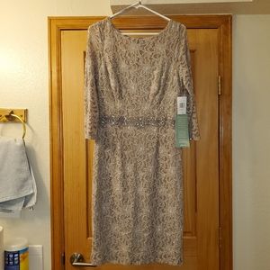 Gorgeous NWT Jackie Jon Dress